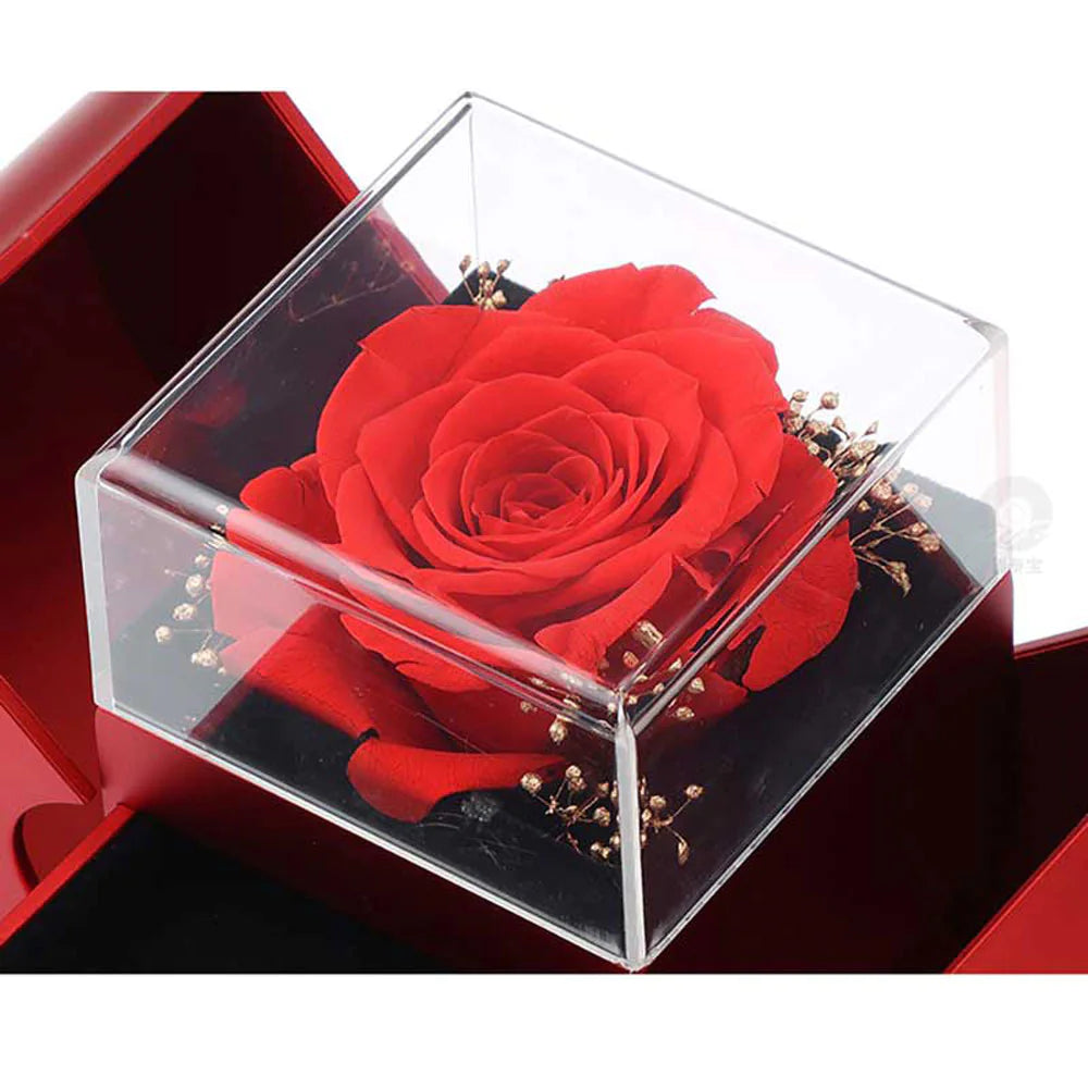 Fashion Jewelry Box Red Apple