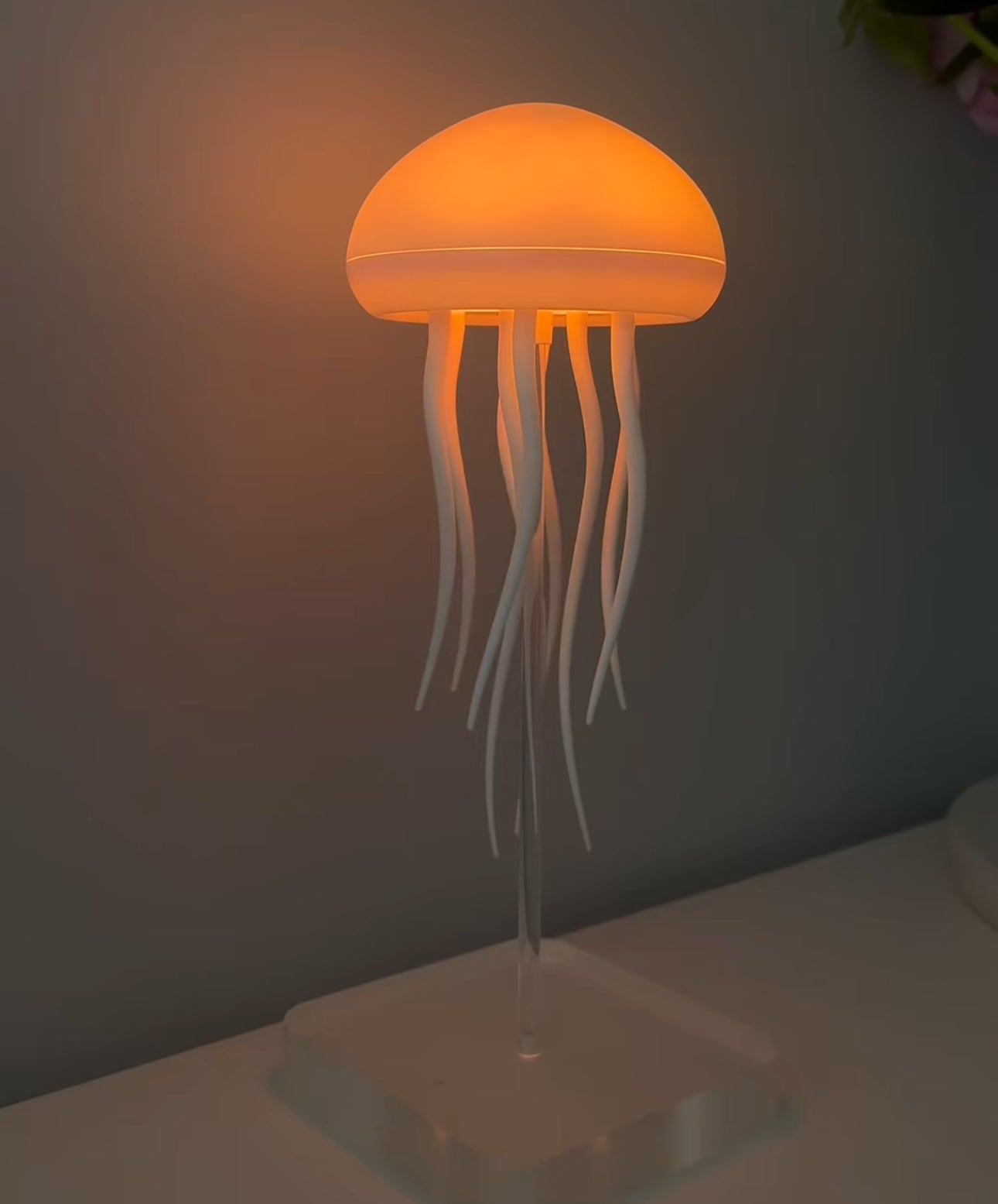 New Jellyfish Lamp