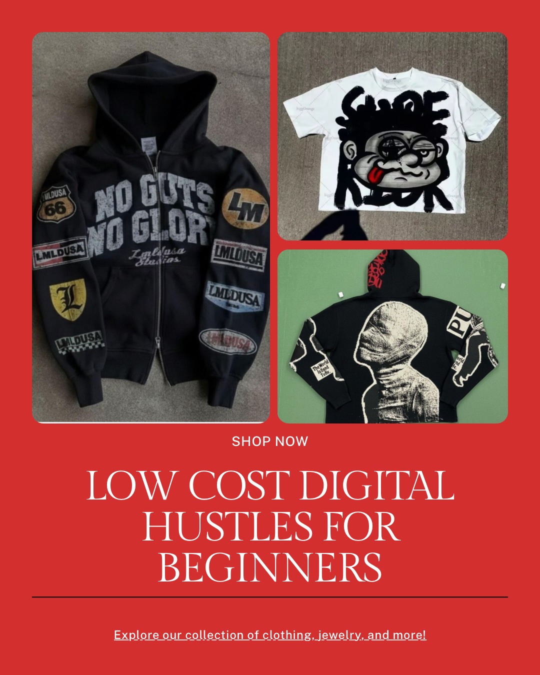 Low Cost Digital Hustles For Beginners Ebook